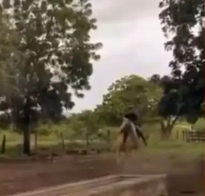 Homem a cavalo escapa de ser atingido por raio no interior da Bahia