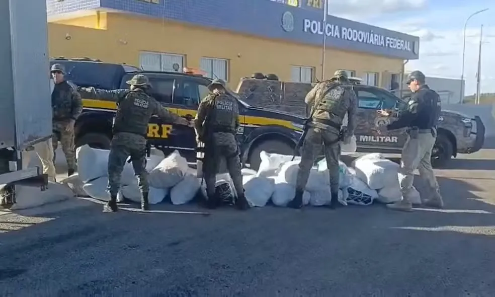 Mais de meia tonelada de maconha é apreendida em caminhão em Juazeiro (BA)
